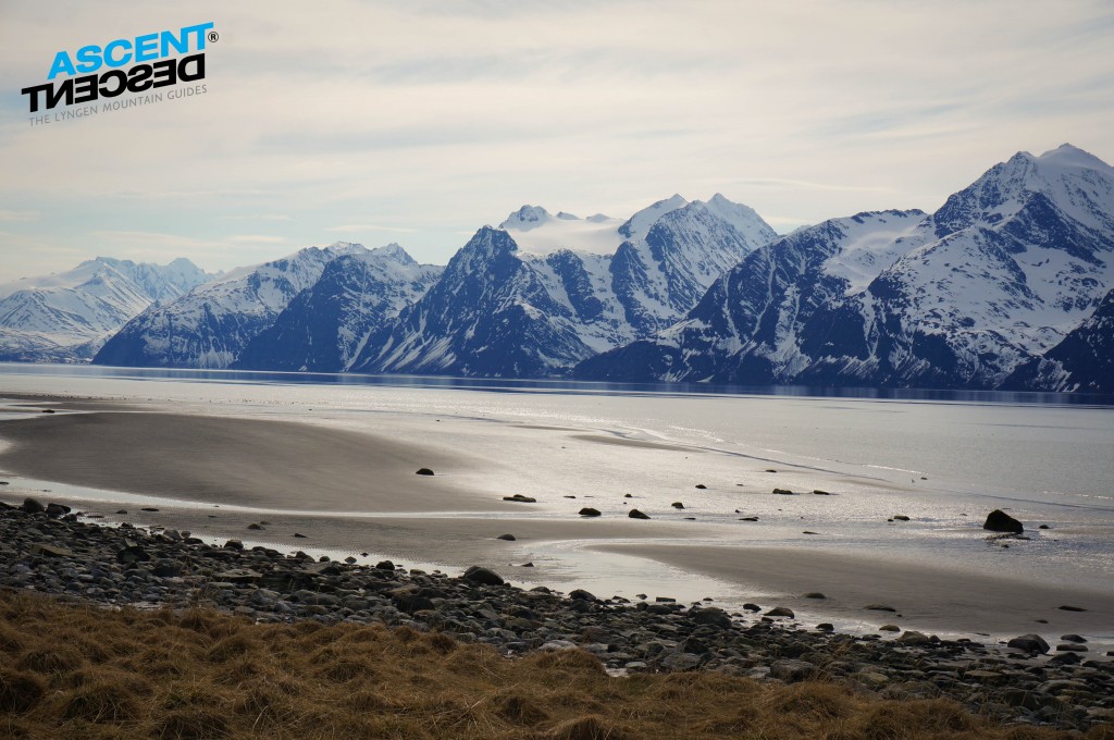 Lyngen backdrop from the east and view from one of our boat tours last week. Photo: Jimmy Halvardsson