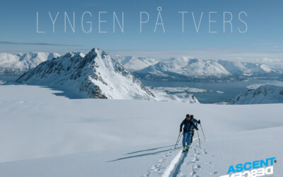 Lyngen på tvers